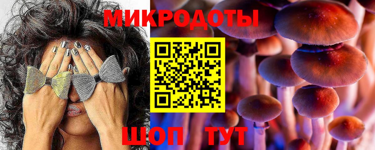 Хабаровск  Галлюциногенные грибы мицелий  купить наркотики цена  Вход с VPN 